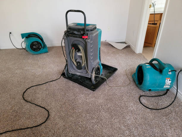 Best Commercial water damage restoration  in Calverton, NY