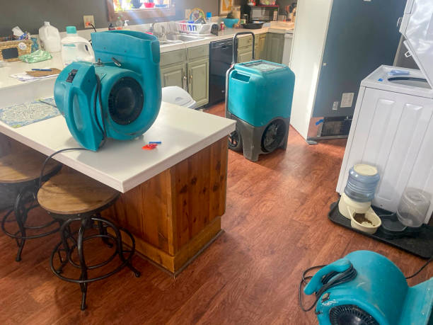 Best 24/7 water damage repair  in Calverton, NY
