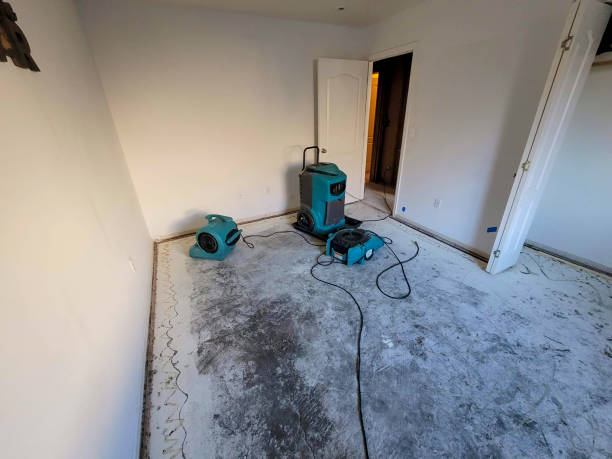 Best Water damage contractors near me  in Calverton, NY