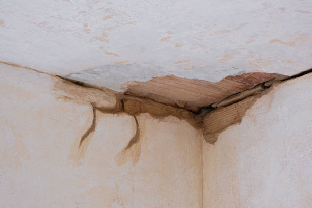 Best 24-hour water damage restoration  in Calverton, NY