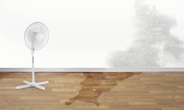 Best Fire Damage Restoration  in Calverton, NY