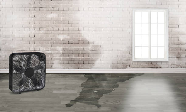 Best Water damage restoration company  in Calverton, NY