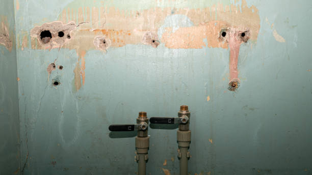 Water damage restoration mold remediation in Calverton, NY
