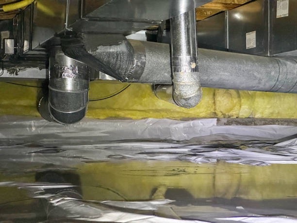 Best Water damage restoration near me  in Calverton, NY