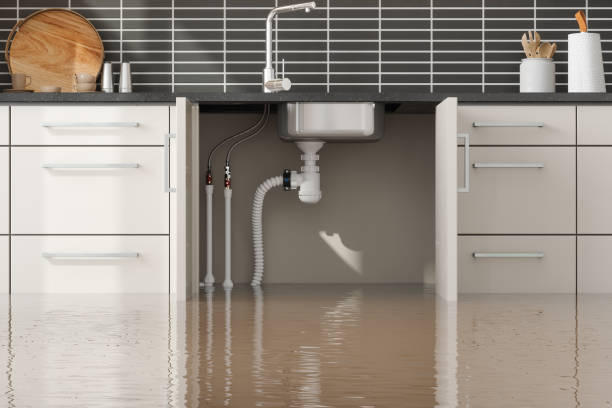 Best Water damage mitigation services  in Calverton, NY