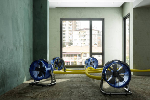 Best Water damage restoration mold remediation  in Calverton, NY